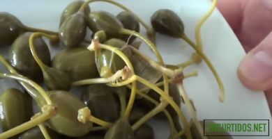 Recetas de Encurtidos 35 Alcaparrones en Vinagre