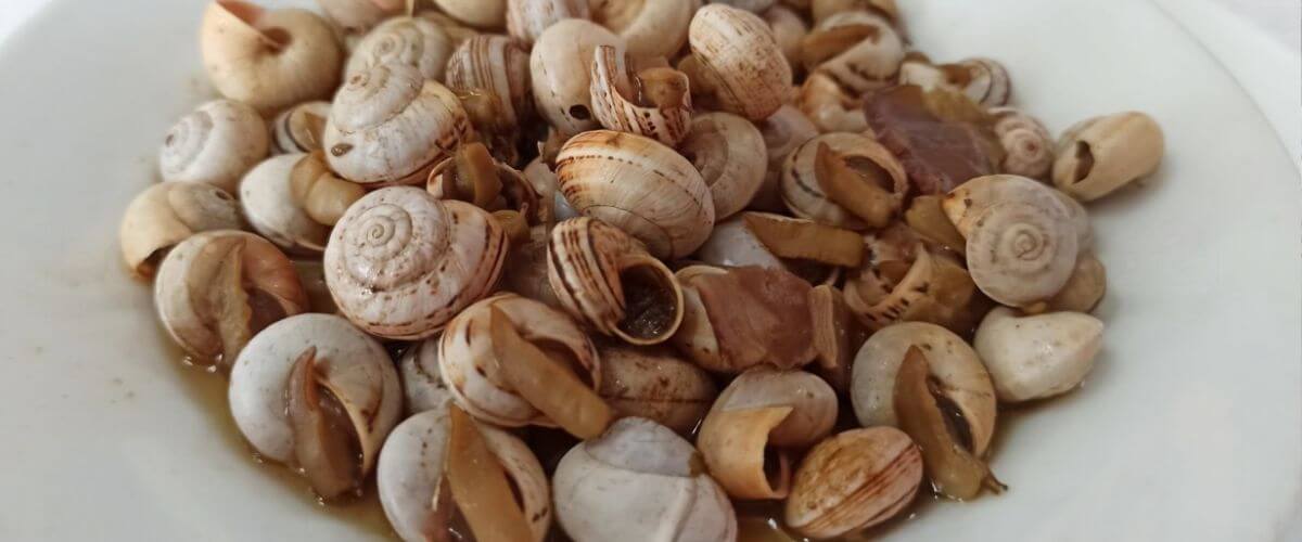 encurtido caracoles receta facil