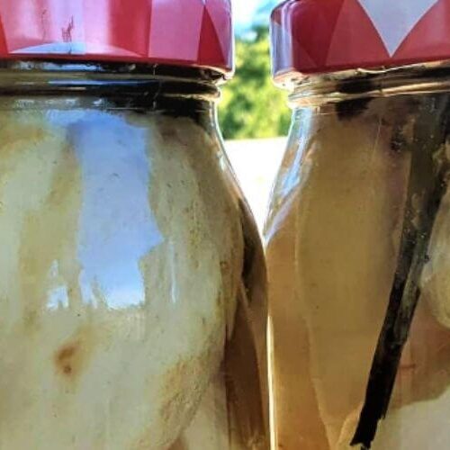 encurtido chayote receta facil