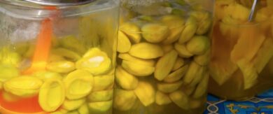 encurtido mango verde tailandia