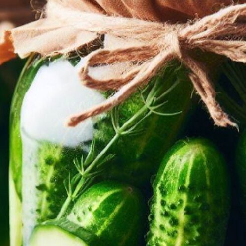 encurtido pepino estragon receta facil