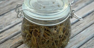 Recetas de Encurtidos 39 hinojo marino encurtido