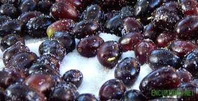 Recetas de Encurtidos 30 Aceitunas Negras encurtidas